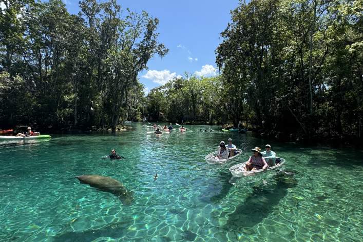 Crystal River