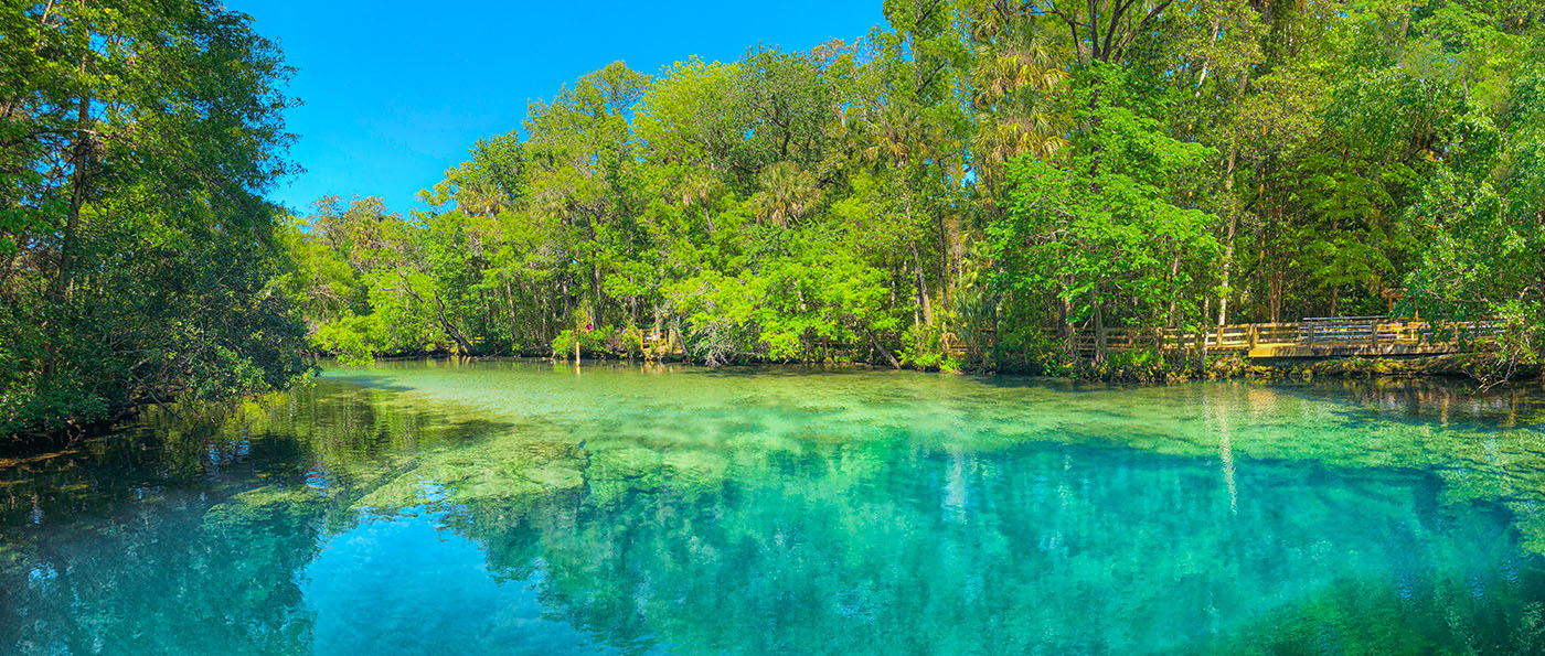 Homosassa Springs